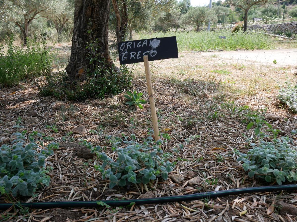 Pantalica Ranch Agriturismo Siciliano Villa Sortino ภายนอก รูปภาพ