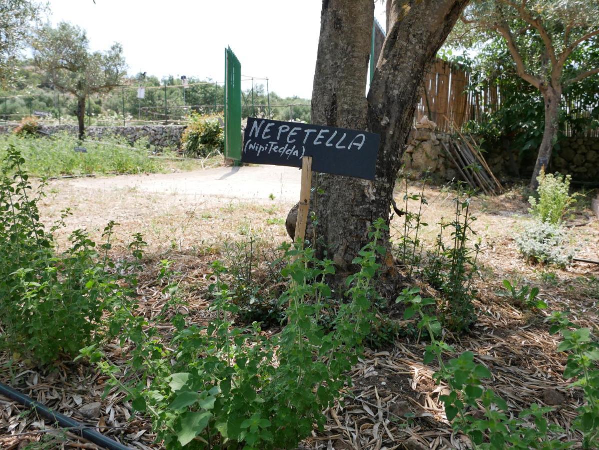 Pantalica Ranch Agriturismo Siciliano Villa Sortino ภายนอก รูปภาพ