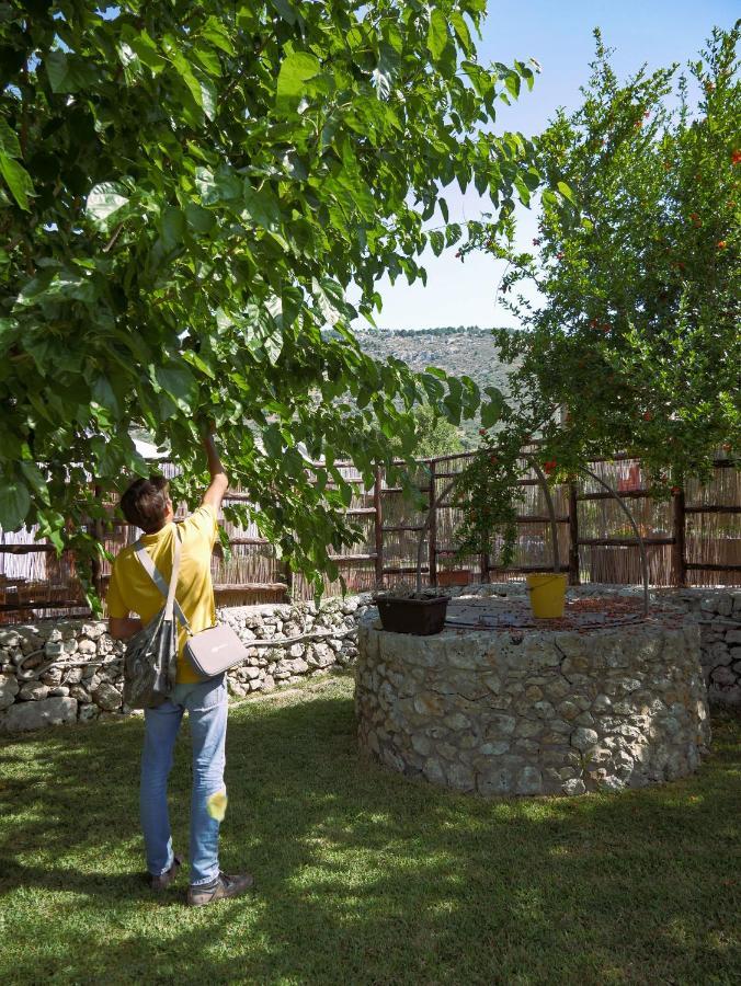 Pantalica Ranch Agriturismo Siciliano Villa Sortino ภายนอก รูปภาพ