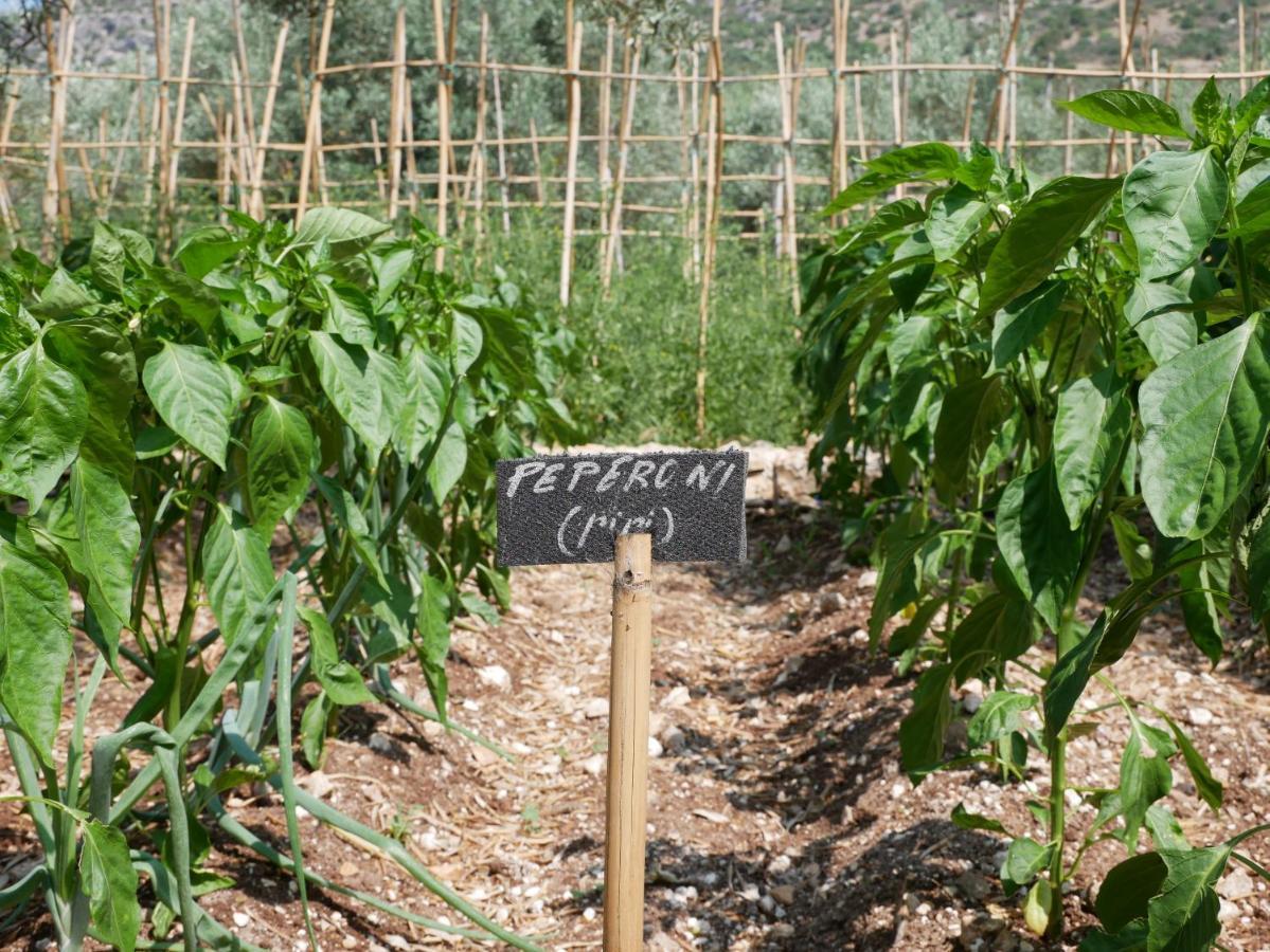 Pantalica Ranch Agriturismo Siciliano Villa Sortino ภายนอก รูปภาพ