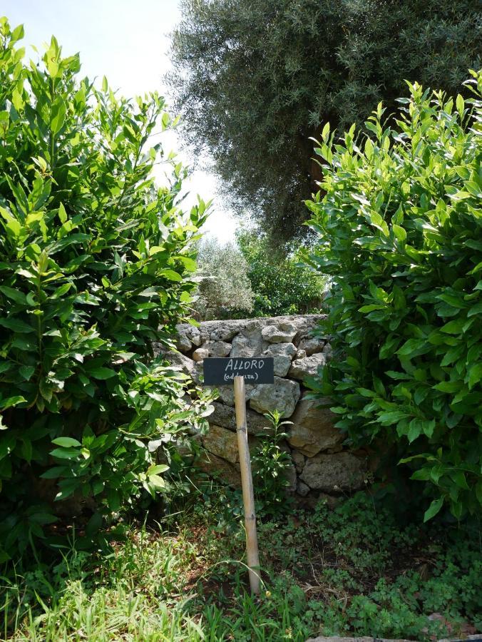 Pantalica Ranch Agriturismo Siciliano Villa Sortino ภายนอก รูปภาพ