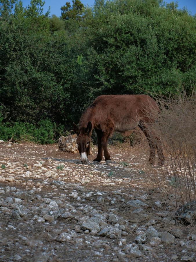 Pantalica Ranch Agriturismo Siciliano Villa Sortino ภายนอก รูปภาพ