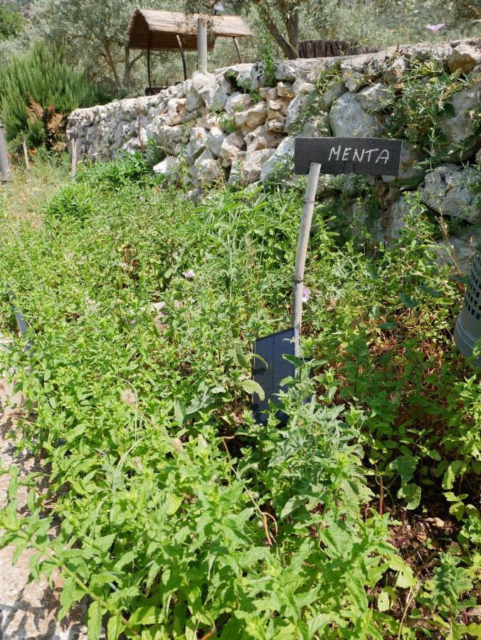 Pantalica Ranch Agriturismo Siciliano Villa Sortino ภายนอก รูปภาพ