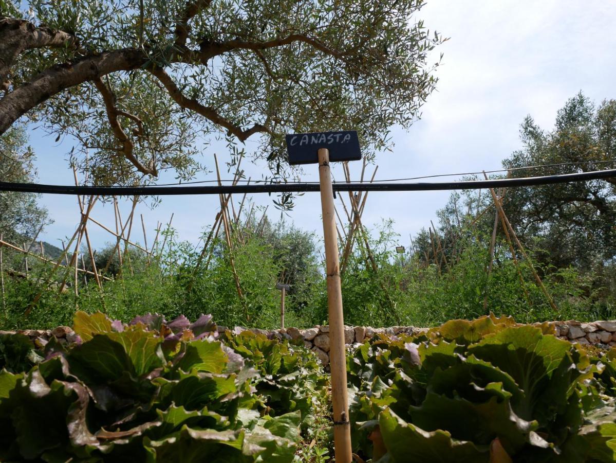 Pantalica Ranch Agriturismo Siciliano Villa Sortino ภายนอก รูปภาพ