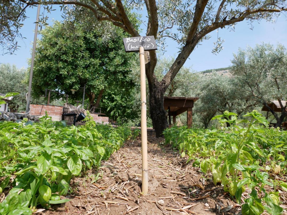 Pantalica Ranch Agriturismo Siciliano Villa Sortino ภายนอก รูปภาพ